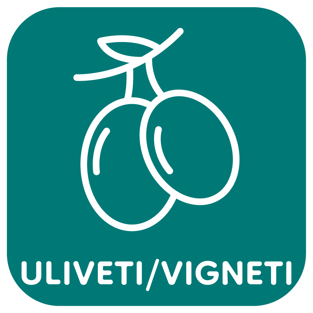 Uliveti/Vigneti