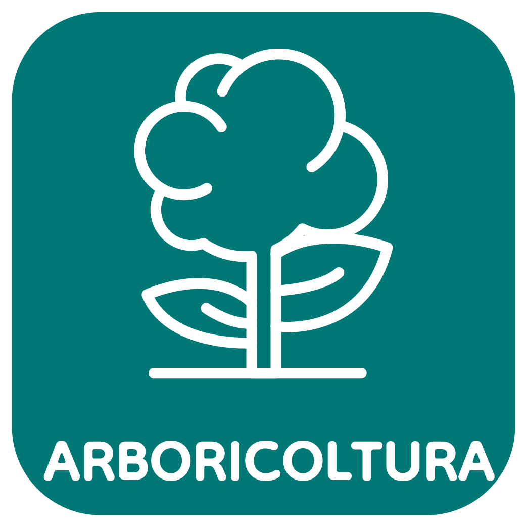 Arboricoltura