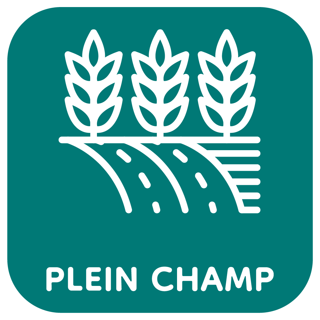 Plein champ