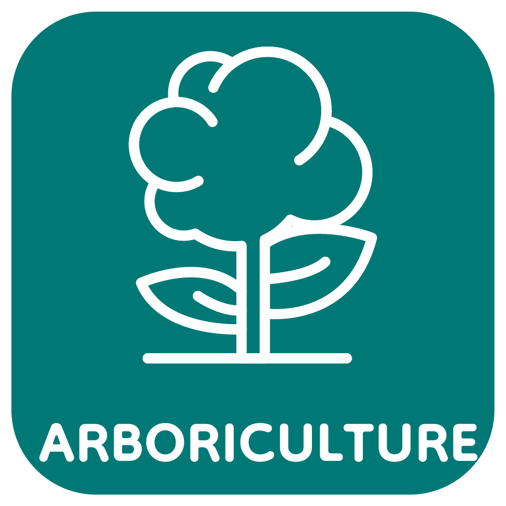 Arboricolture