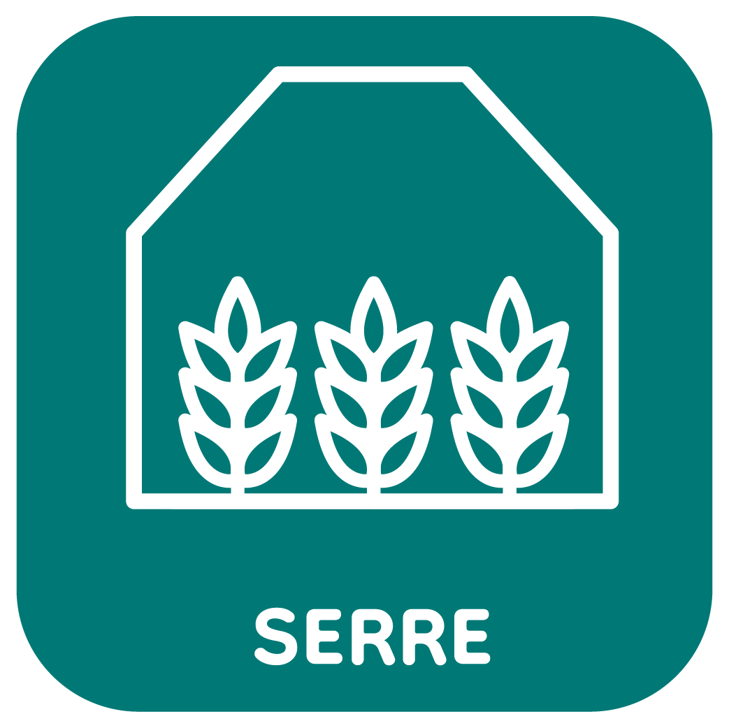 Serra