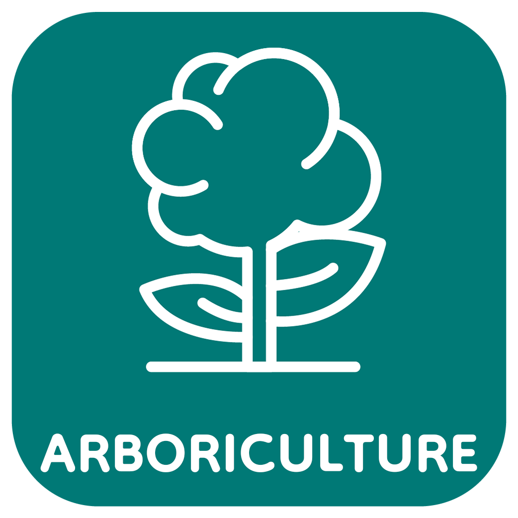 arboriculture